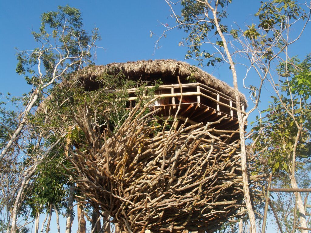Tree House El Nido de Java