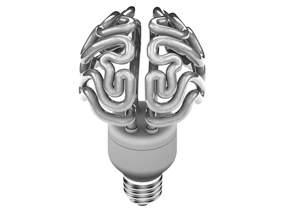insight cfl light bulb brain shape