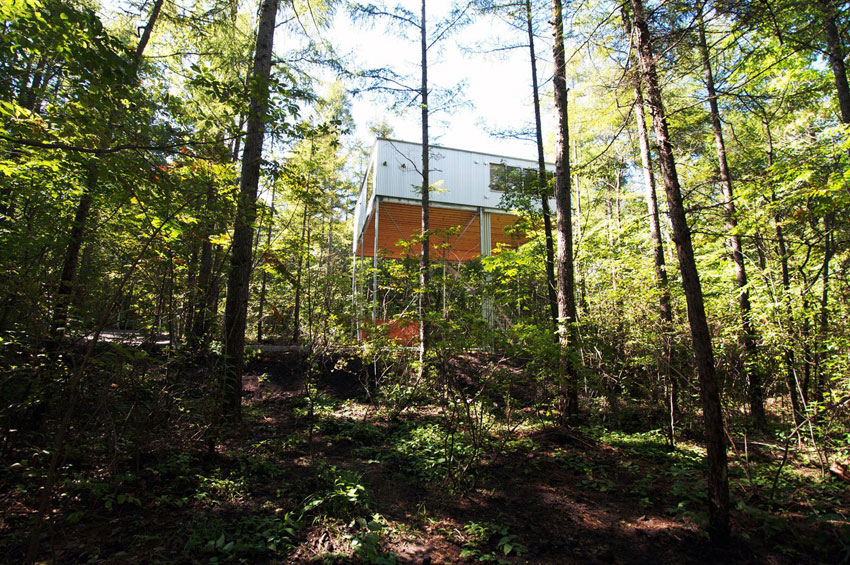 pilotis forest house