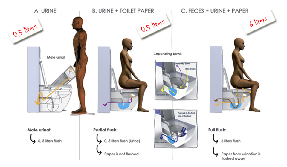 How the natura transforming toilet works