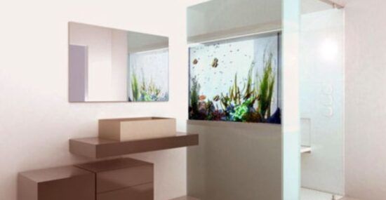 Bathroom with built-in aquarium