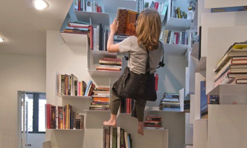 Sallie Trout climbing harness bookshelves