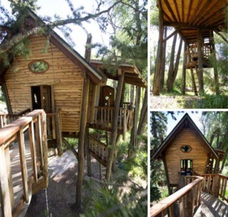 Awe-Inspiring Tree House for Rustic Adventures | Designs & Ideas on Dornob