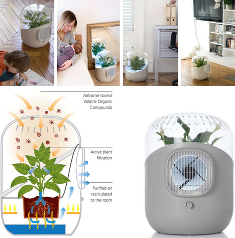 Small home air purifier