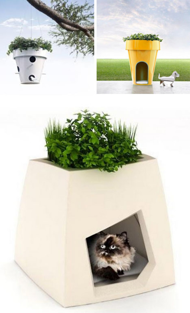 Cute hanging bird houses and planters