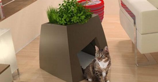 Cat house indoor planter