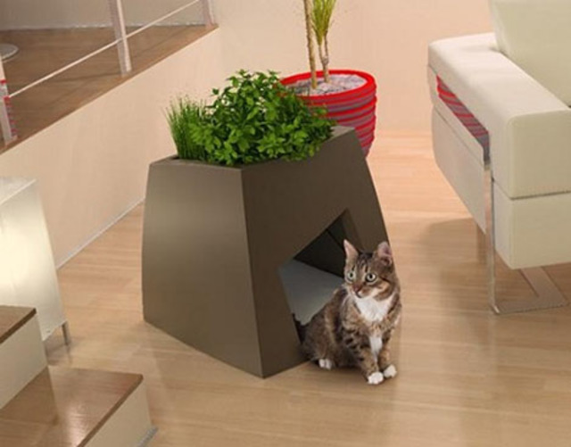 Cat house indoor planter