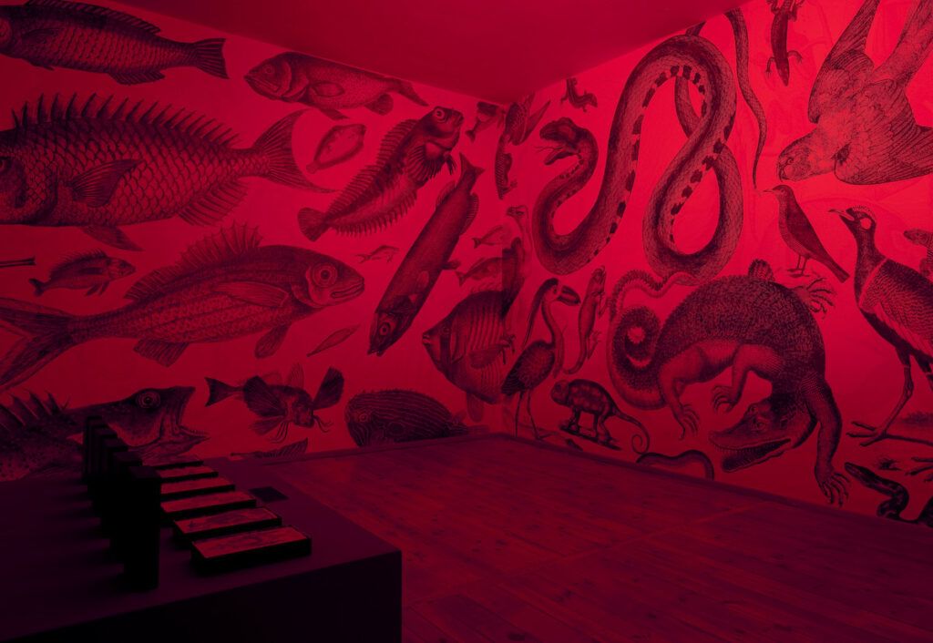 RGB wallpaper by carnovsky red