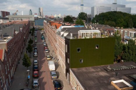 Black Pearl Rotterdam Townhouse rooftop