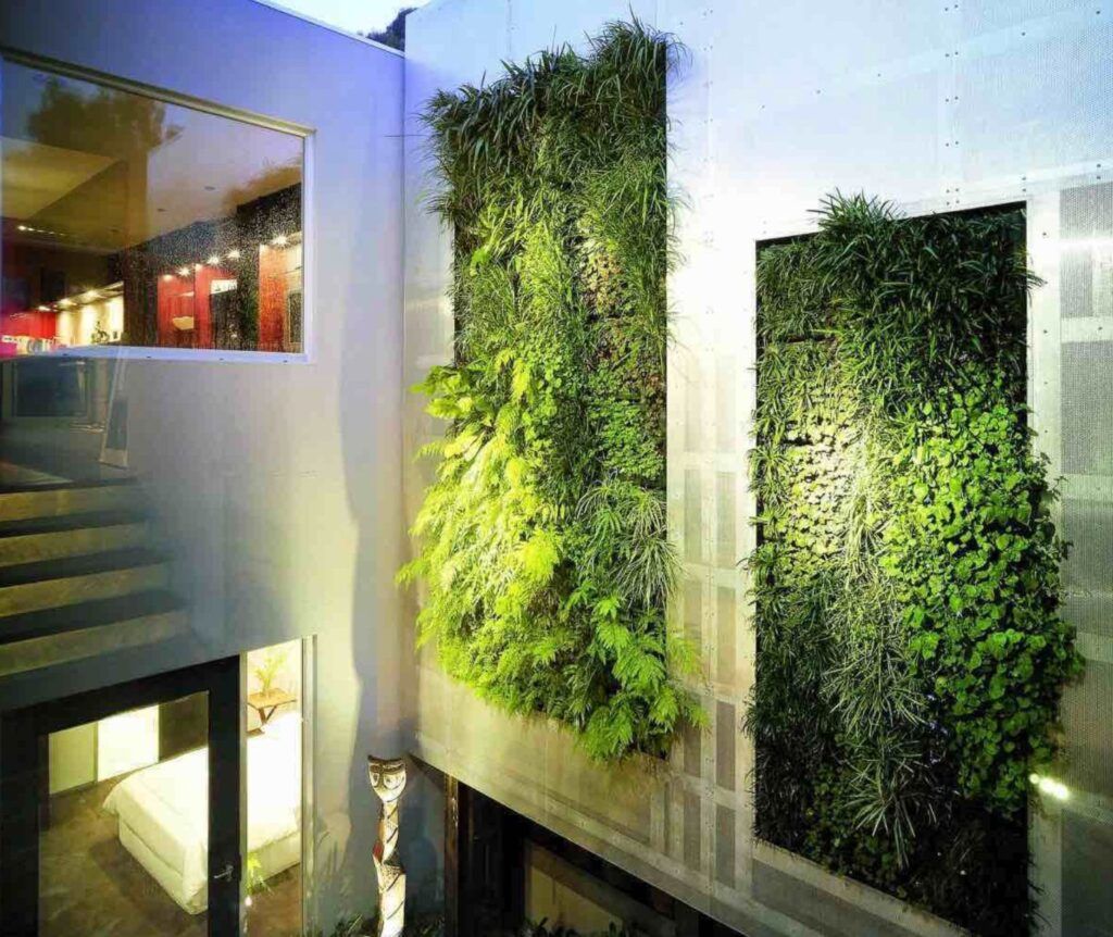 Urban home with vertical gardens stairs greenery