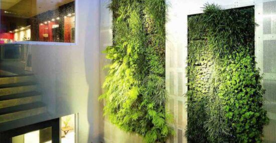 Urban home with vertical gardens stairs greenery