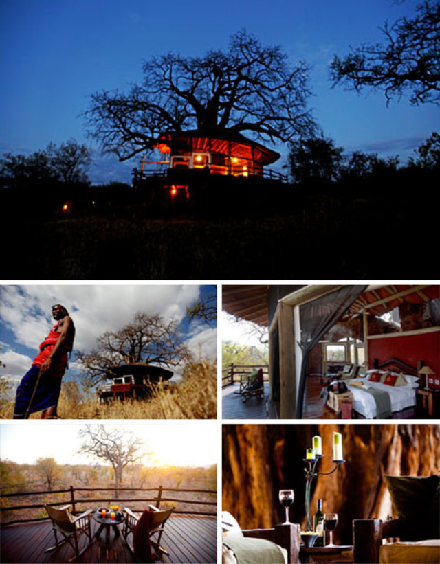 africa rural treehouse retreat