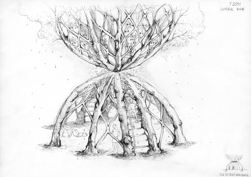 Living treehouse drawing