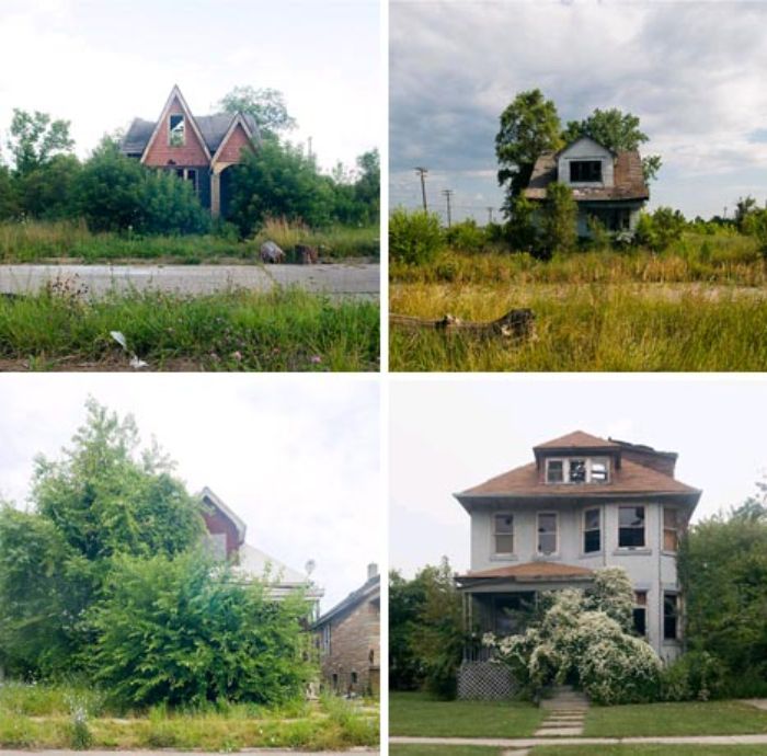 abandoned houses taken over by nature