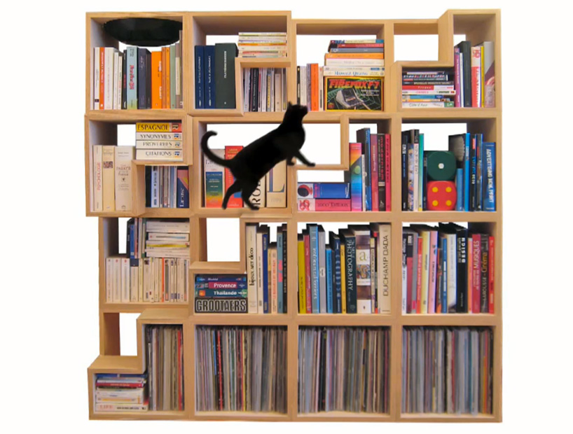 cat library bookshelves in use