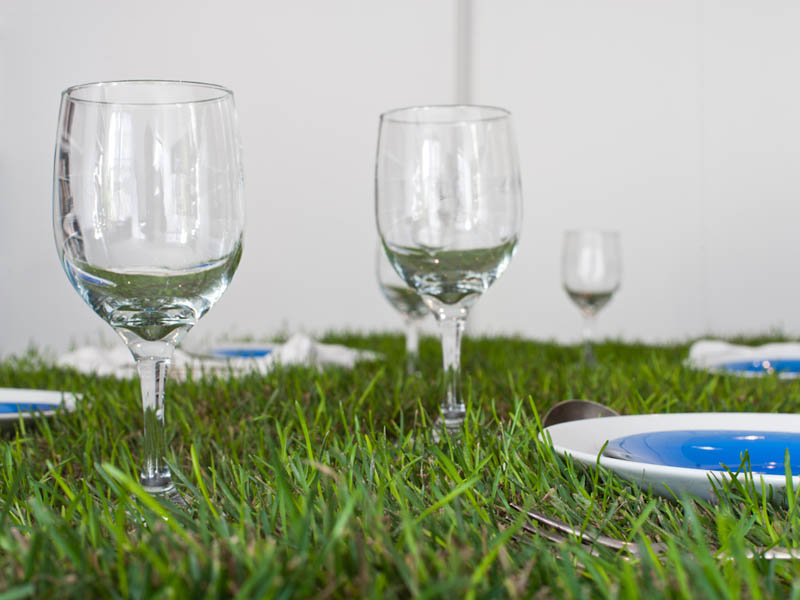 PicNYC table wine glasses real grass