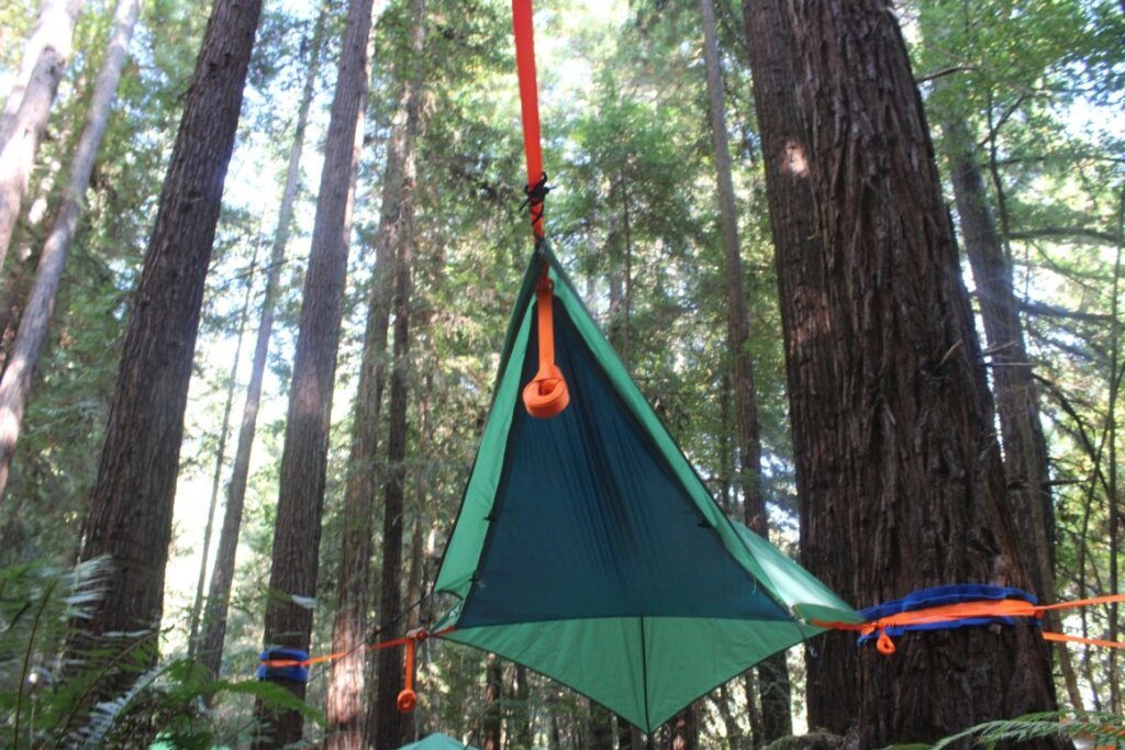 tree tent from below