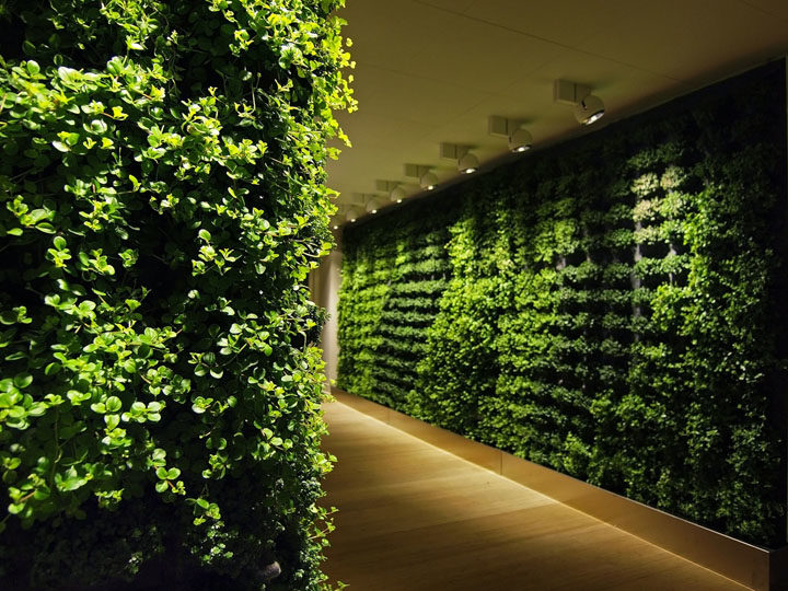Greenworks living wall plants