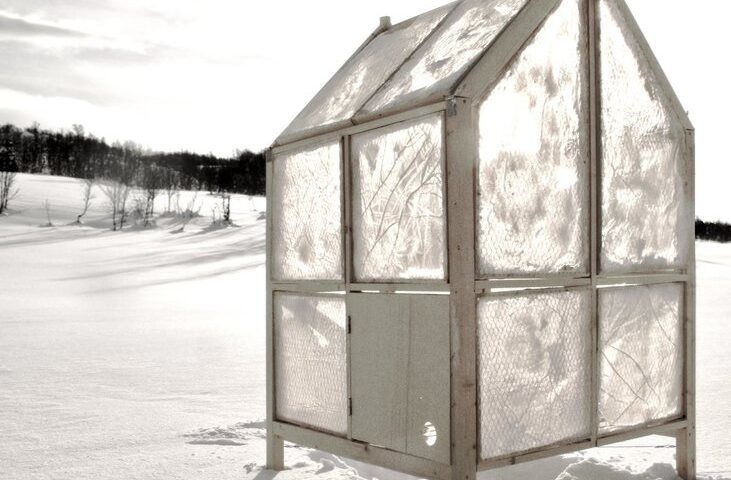 Unavailability ice cabin chicken wire
