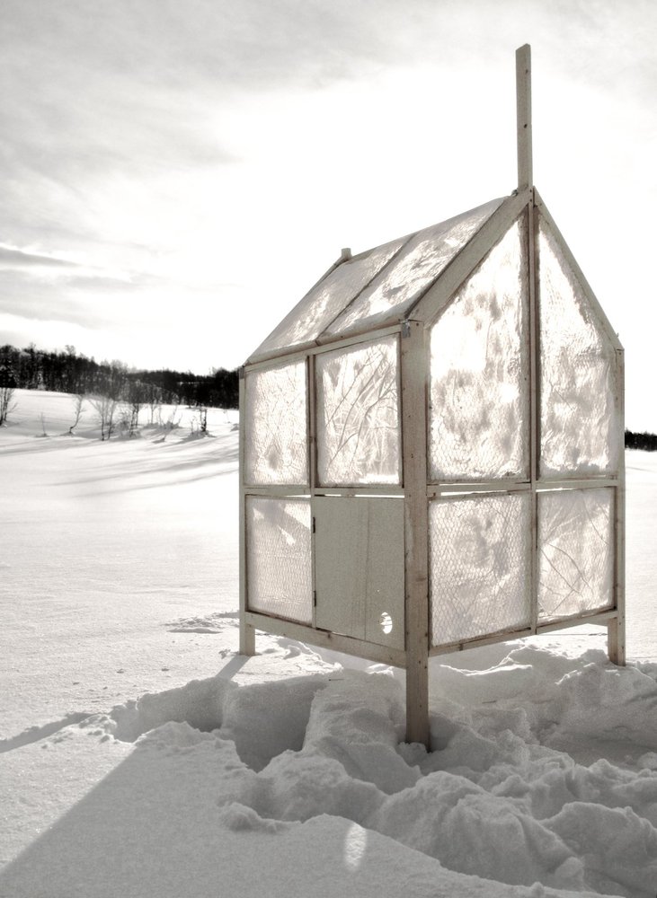 Unavailability ice cabin chicken wire
