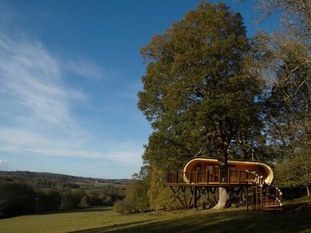 Eco Perch treehouse in landscape