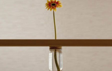 invisible vase idea