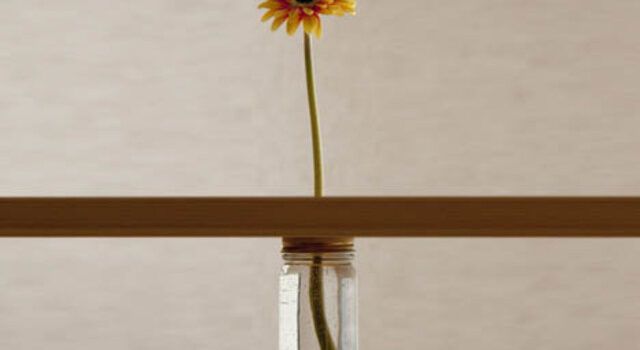 invisible vase idea