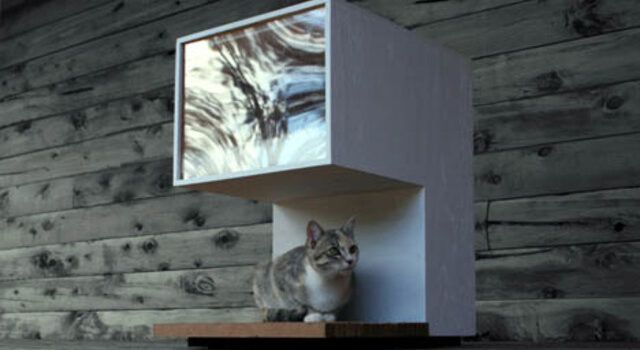 Cute modern DIY cat house