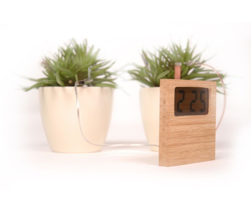 Clean energy soil clock with plants