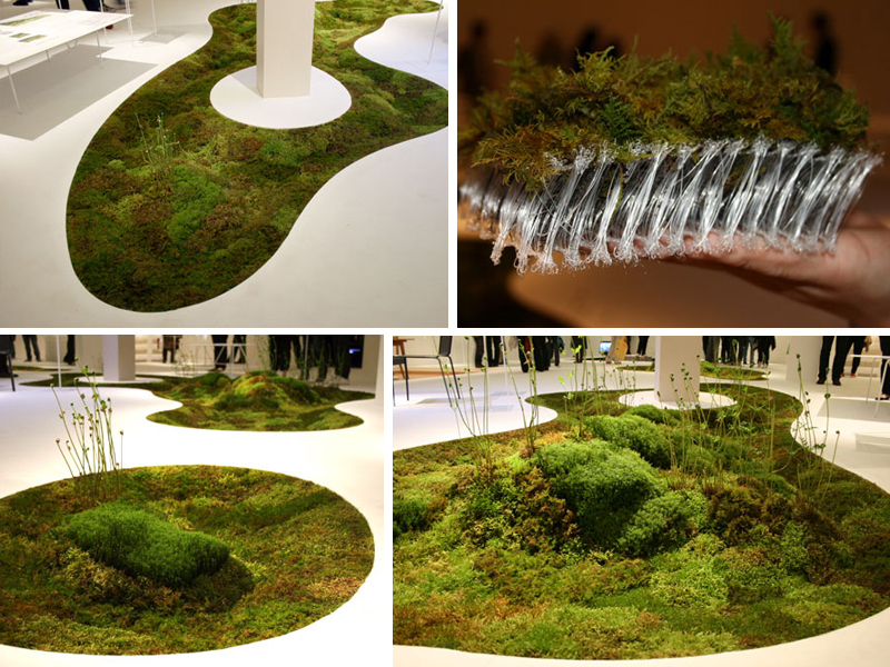 Grow a Living Moss Carpet In Your Home