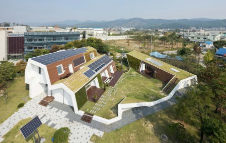 Green Roof Home from Above