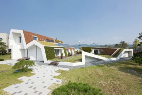 Green Roof Home