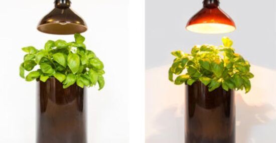 Handmade lamps and vases made of glass bottles recycled