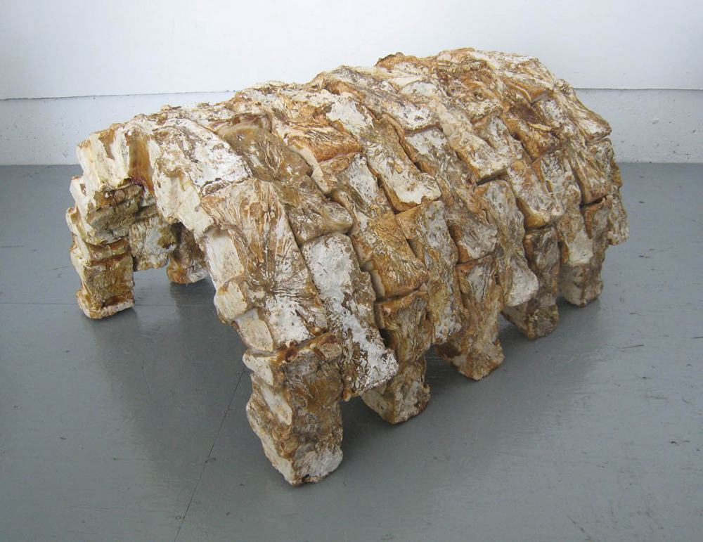 phil ross mushroom materials structure