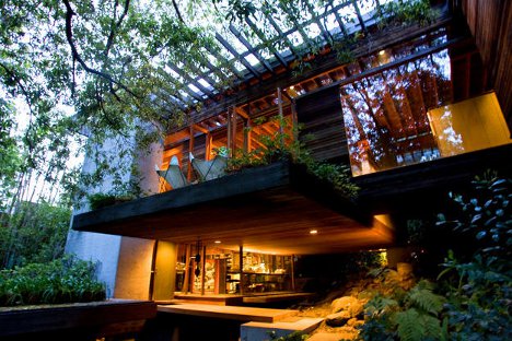 Wooded Wonderland: Open Plan Multi-Level Glass Cliff Home