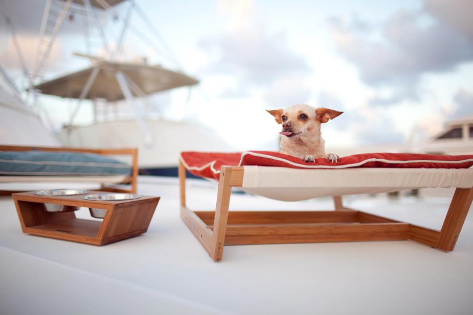 Pet loungers modern on a boat