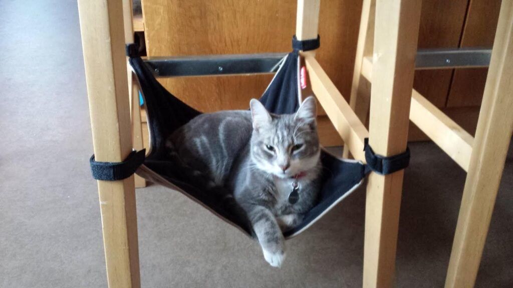 cat crib hammock
