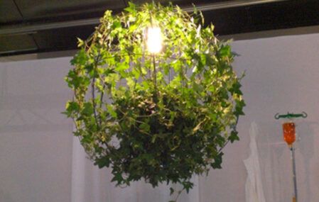 Plant lamp