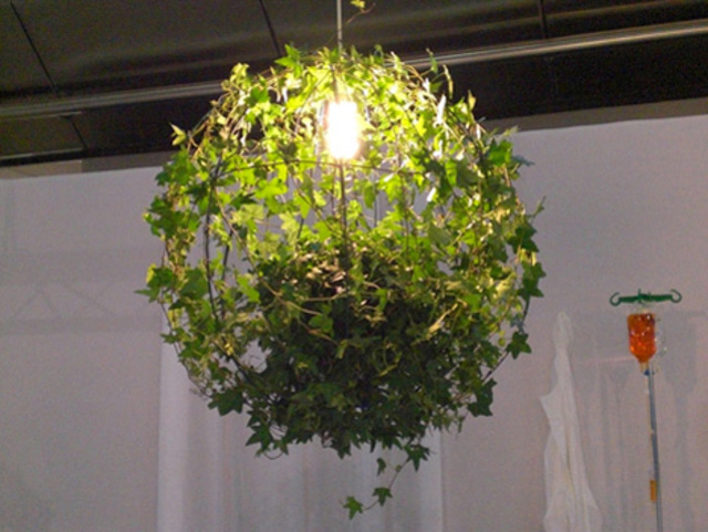 Plant lamp
