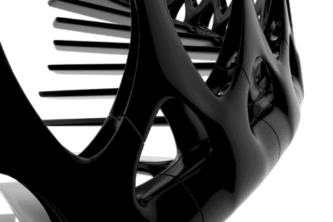 vertebrae staircase close up