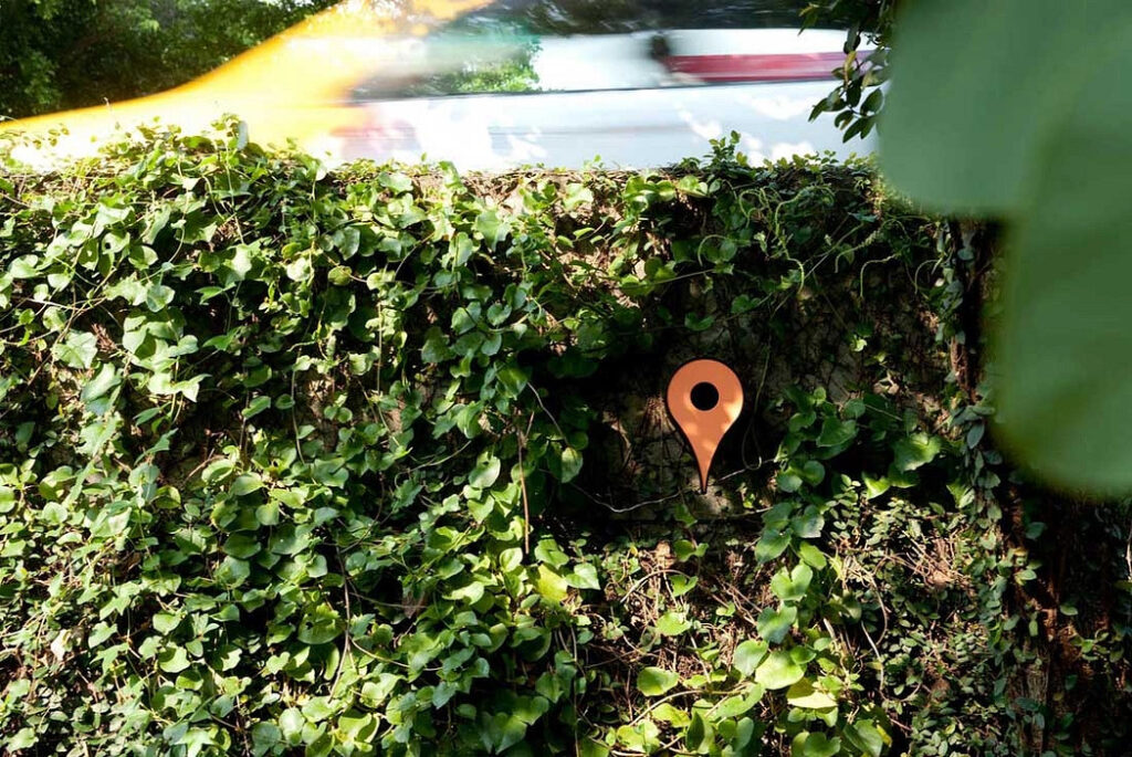 Google-Map-Pins-in-Real-Life-are-bird-houses