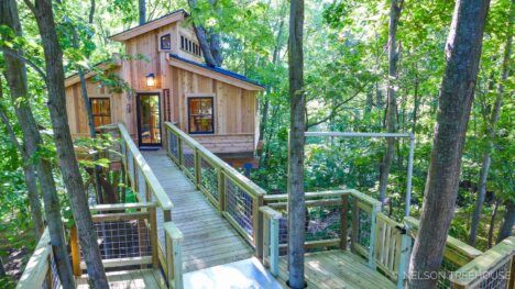 Nelson Tree House For Mar Nature Preserve