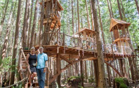 Nelson Tree House builders