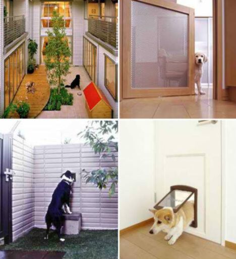 Port holes and patios for dogs