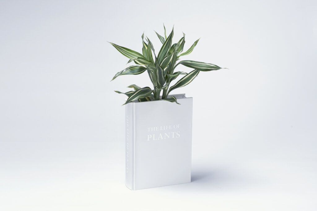 YOY book planter front