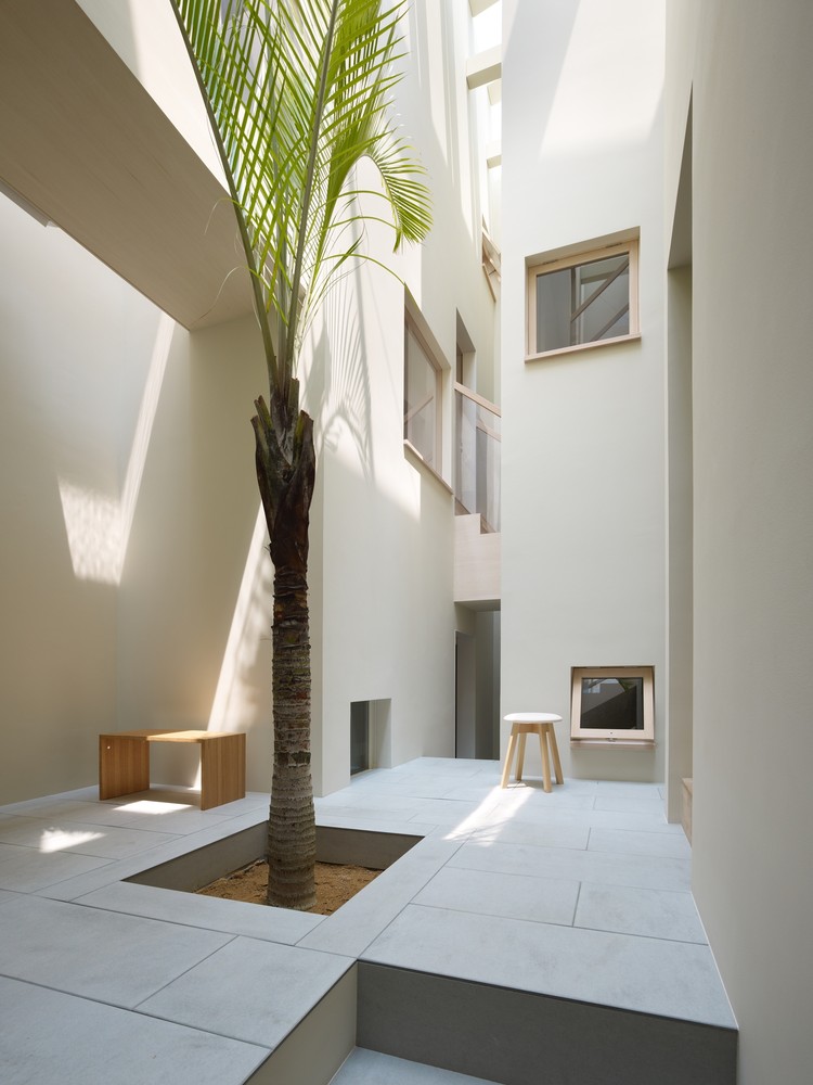 House in Goido palm tree