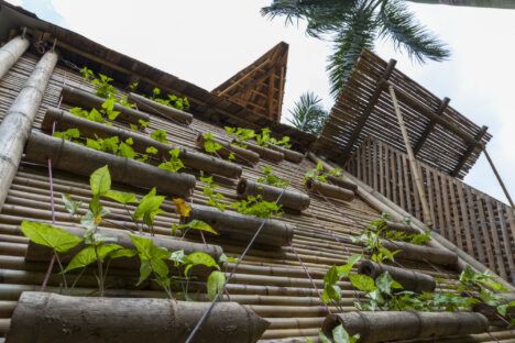 Vietnam low cost bamboo home exterior wall plants
