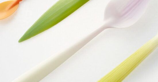 compostable utensils veggie shaped