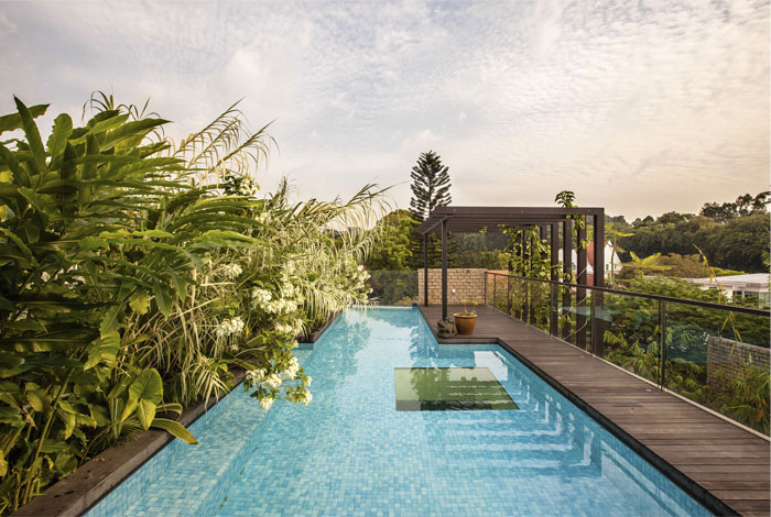 Aamer singapore tropical house pool