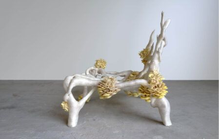 Mycelium chair